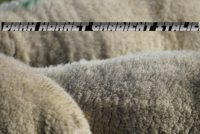 Dark Hornet Gradient Italic Example 3