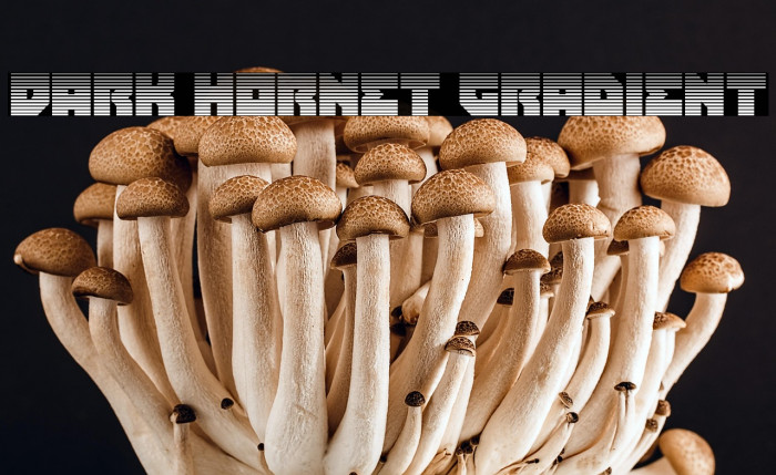 Dark Hornet Gradient Example 1