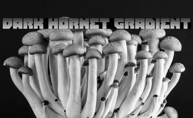 Dark Hornet Gradient Font examples