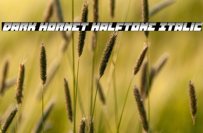 Dark Hornet Halftone Italic Example 1