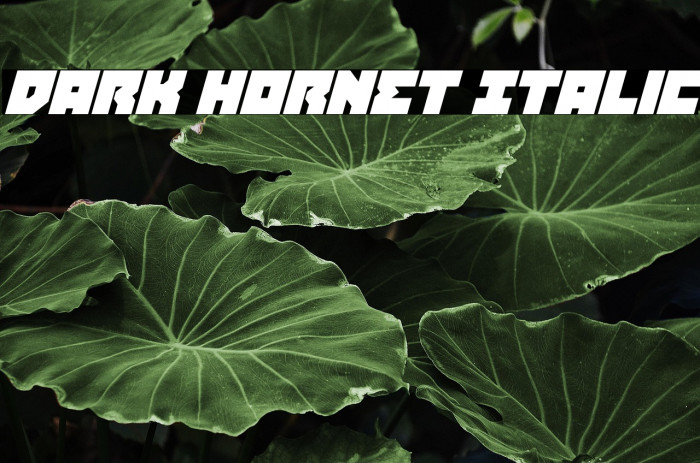 Dark Hornet Italic Example 2