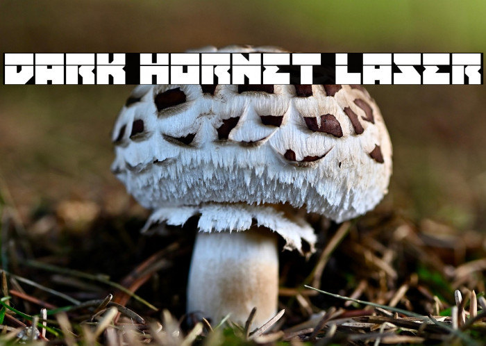 Dark Hornet Laser Example 1