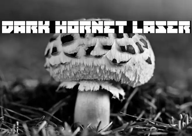 Dark Hornet Laser Font examples