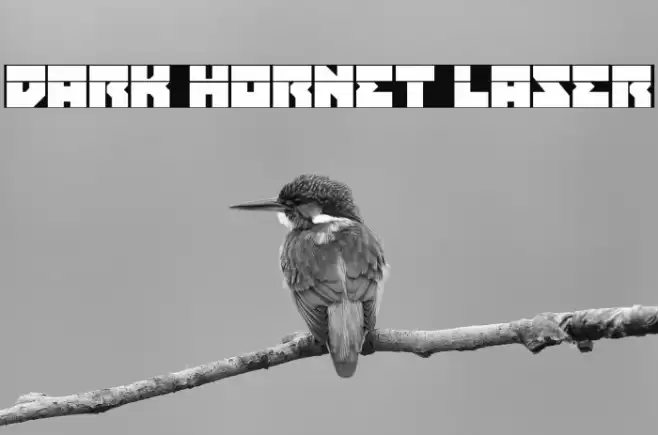 Dark Hornet Laser Font examples