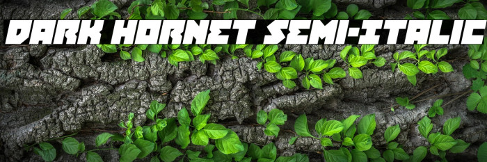 Dark Hornet Semi-Italic Example 2