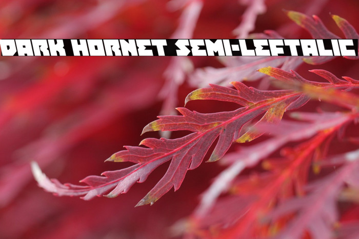 Dark Hornet Semi-Leftalic Example 2