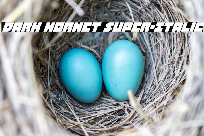 Dark Hornet Super-Italic Example 3