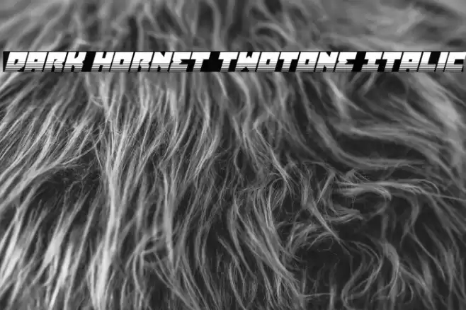 Dark Hornet Twotone Italic Font examples