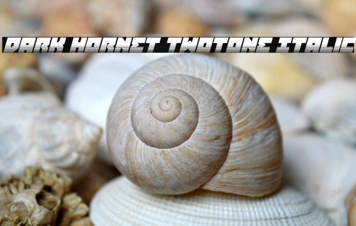 Dark Hornet Twotone Italic Example 2
