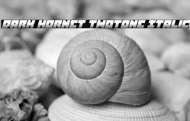 Dark Hornet Twotone Italic Font examples