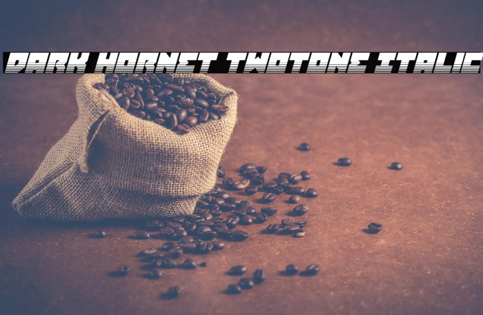 Dark Hornet Twotone Italic Example 3