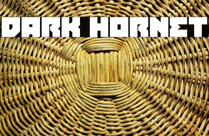 Dark Hornet Example 3