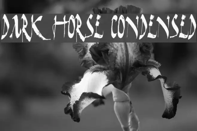 Dark Horse Condensed Example 2