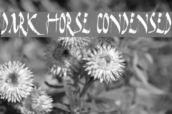 Dark Horse Condensed Example 3