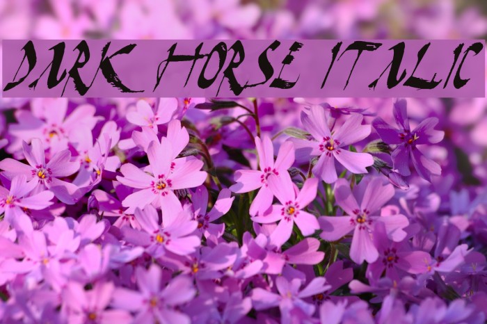 Dark Horse Italic Font examples