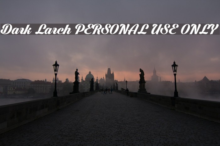 Dark Larch PERSONAL USE ONLY Example 2