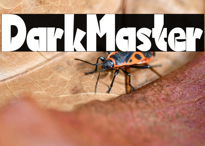 Dark Master Example 2