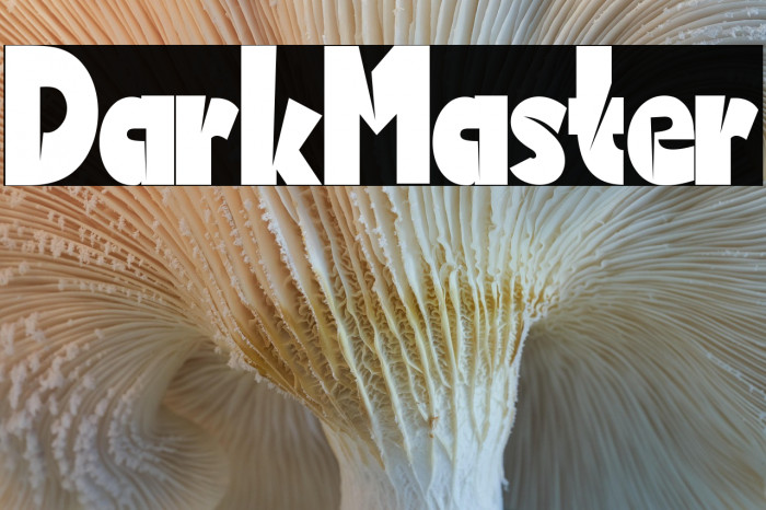 Dark Master Example 3