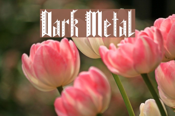 Dark Metal Font examples
