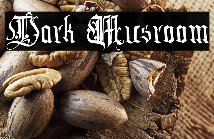 Dark Musroom Example 2