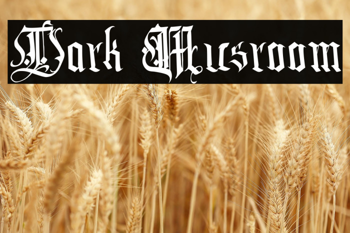 Dark Musroom Example 3