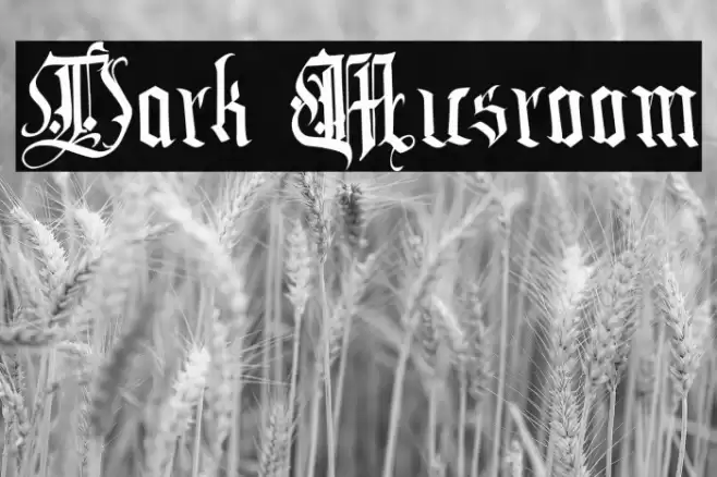 Dark Musroom Caratteri examples
