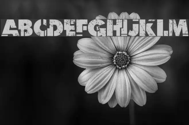 Dark Net Warrior Example 3