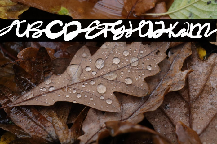 Dark Night Example 1