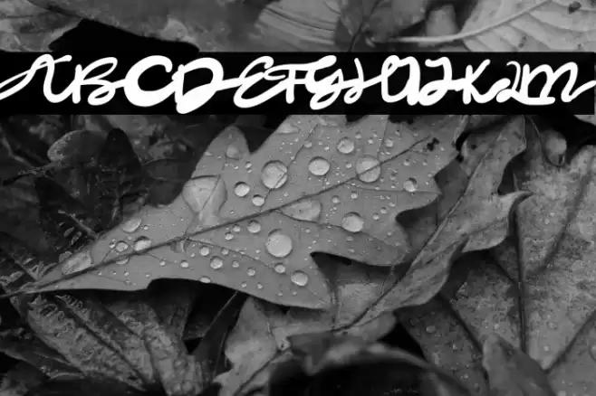 Dark Night Font examples