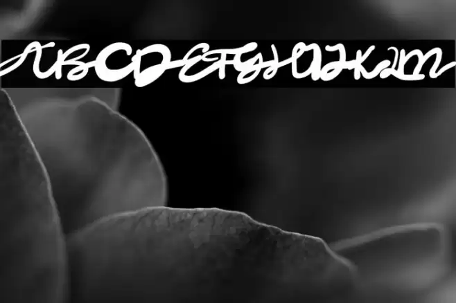 Dark Night Font examples