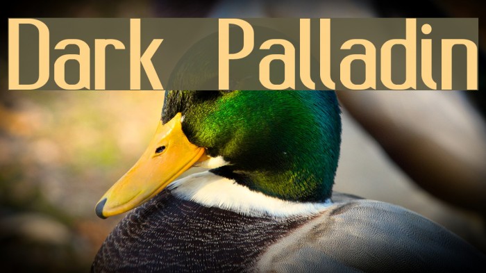 Dark Palladin Font examples