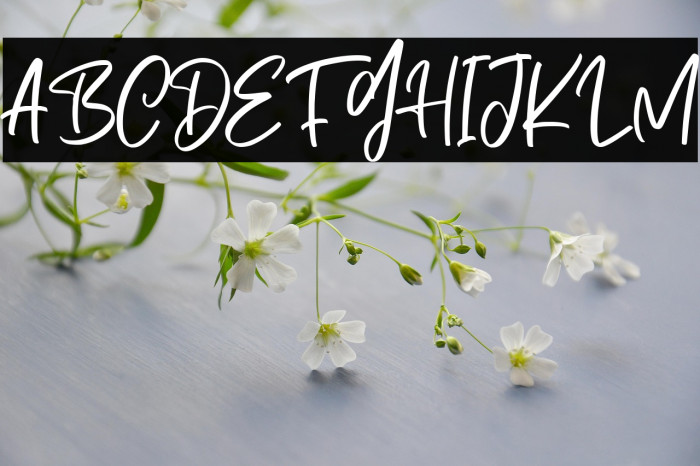 Dark Phoenix Example 2