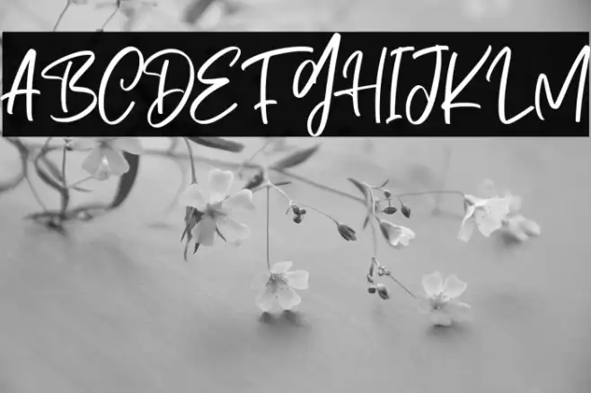 Dark Phoenix Example 2