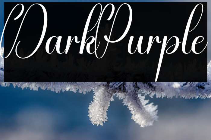 Dark Purple Example 2