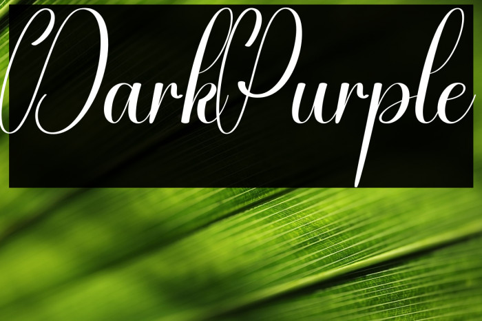 Dark Purple Example 3