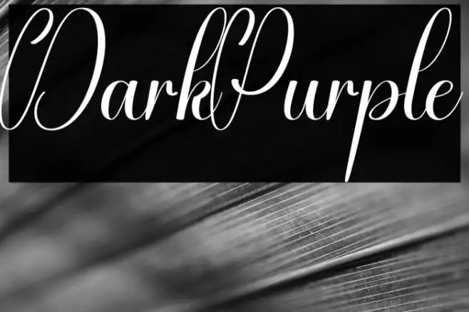 Dark Purple Example 3