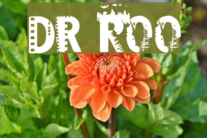Dark Room Font examples