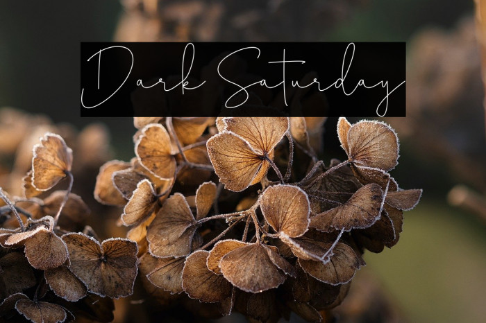 Dark Saturday Example 3