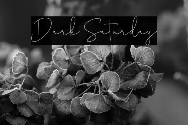 Dark Saturday Font examples