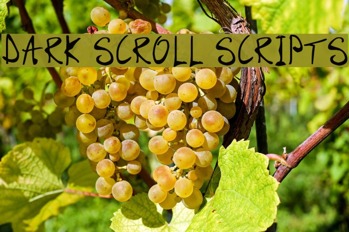 Dark Scroll Scripts Font examples
