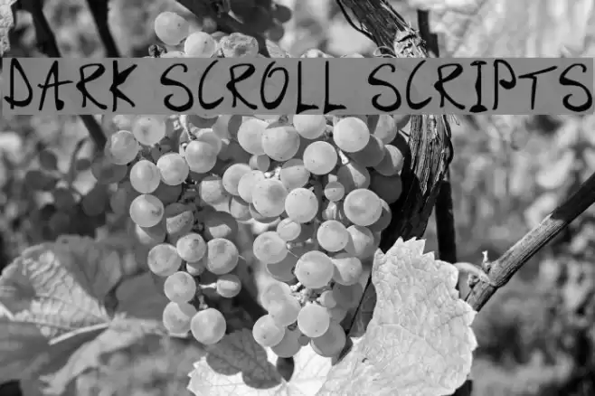 Dark Scroll Scripts خط examples