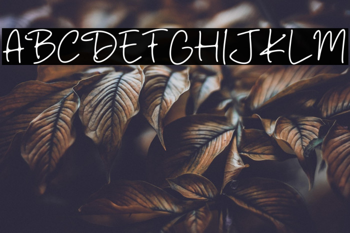 Dark Shadow Example 3