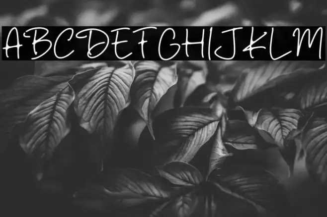 Dark Shadow Example 3