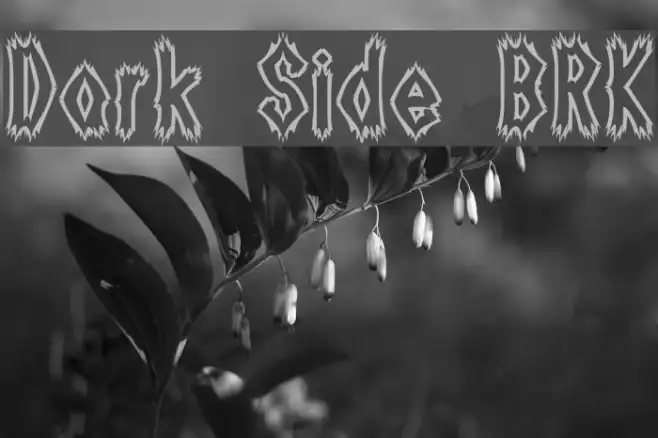 Dark Side [BRK] Example 2