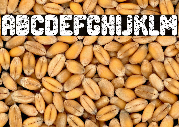 Dark Side Bold Example 1