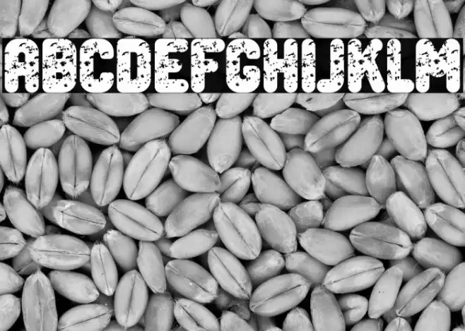 Dark Side Bold Font examples