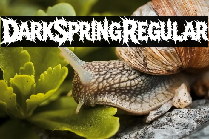 Dark Spring Regular Example 3
