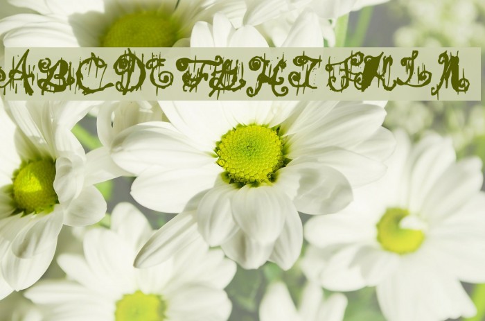 Dark Theater Example 2