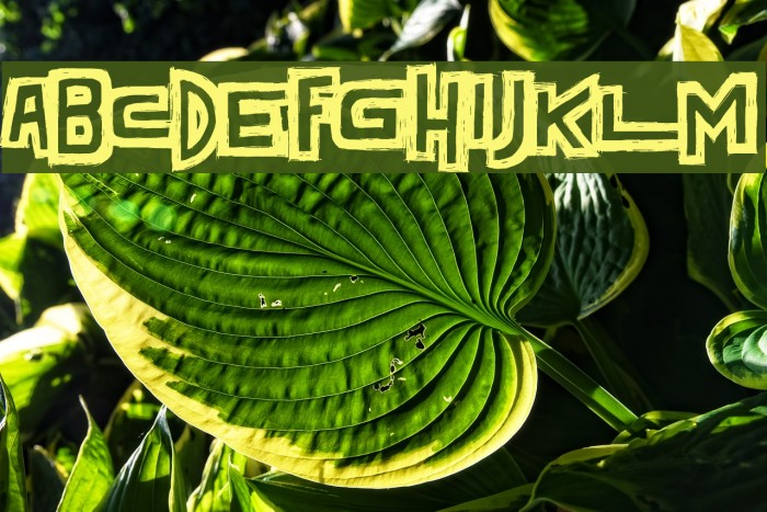 Dark Times Example 2