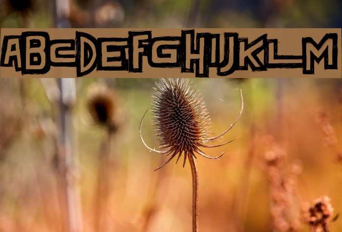 Dark Times Example 3